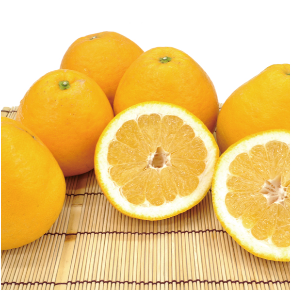 【母の日】愛媛県産 みしょうゴールド7kg【483920】 商品サムネイル