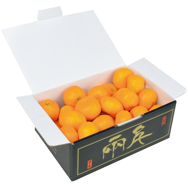 愛媛県産（JAにしうわ日の丸共選） 日の丸みかん2.5kg 【162683】【冬☆】 商品サムネイル