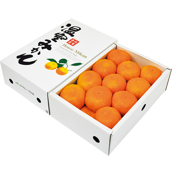 ◇[佐賀県産]ハウスみかん 1.5kg【148993】 商品サムネイル