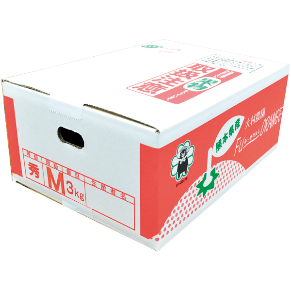 熊本県産（大村農園） 大村農園の天水みかん3kg 【162771】【冬☆】 商品サムネイル
