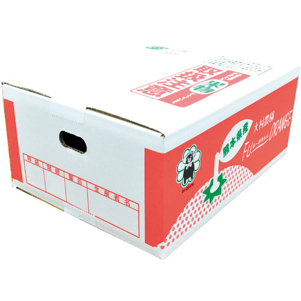 熊本県産（大村農園） 大村農園の天水みかん5kg 【162780】【冬☆】 商品サムネイル