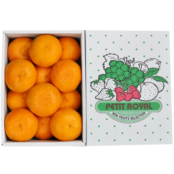 【母の日】愛媛県産又は和歌山県産 カラマンダリン 1kg【484017】 商品サムネイル