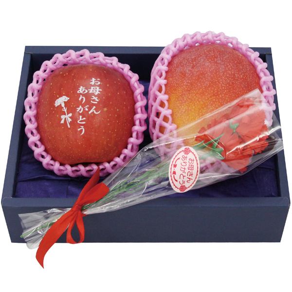 【母の日】宮崎県産・青森県産 文字入りりんご・マンゴーセット【484026】 商品サムネイル