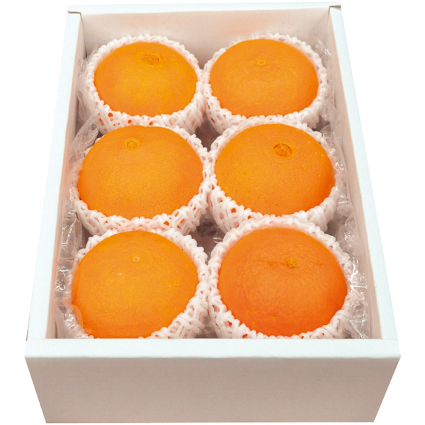 愛媛県産 紅まどんな 【162805】【冬☆】 商品サムネイル