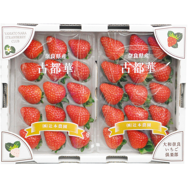 奈良県産 古都華 【162504】【冬☆】 商品サムネイル