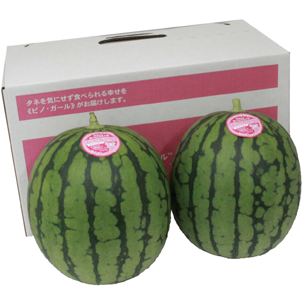 【父の日】長崎県又は熊本県又は和歌山県産 ピノガール2玉【486796】 商品サムネイル