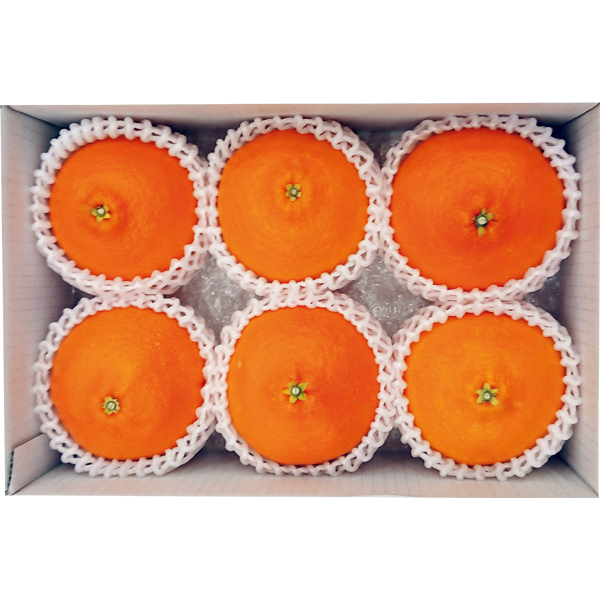 ☆愛媛県産 紅まどんな 【030038】 商品画像(1)