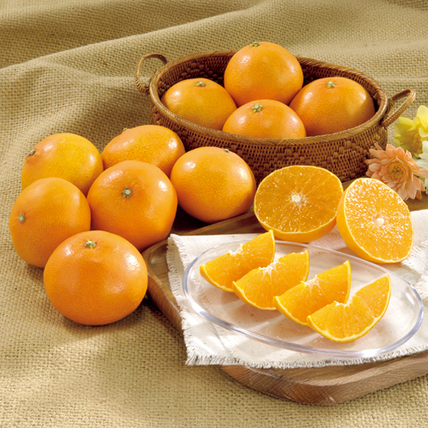 ☆愛媛県産 紅まどんな 【030047】 商品サムネイル