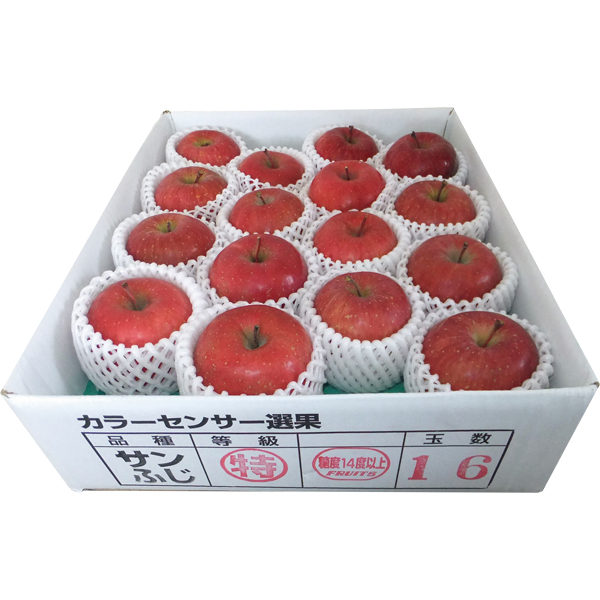 ◇青森県産 高糖度選果・サンふじりんご特4kg 【151030】 商品サムネイル