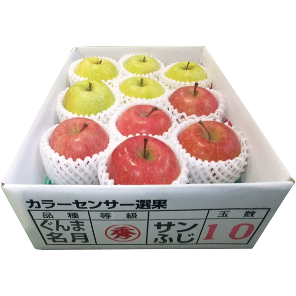 青森県産 サンふじりんご＆ぐんま名月A 【162203】【冬☆】 商品サムネイル