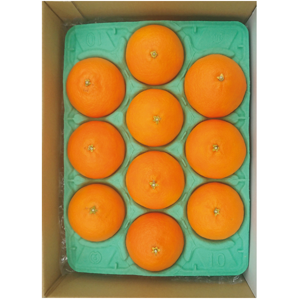 愛媛県産 あいか（並詰め）【冬】【016074】 商品サムネイル