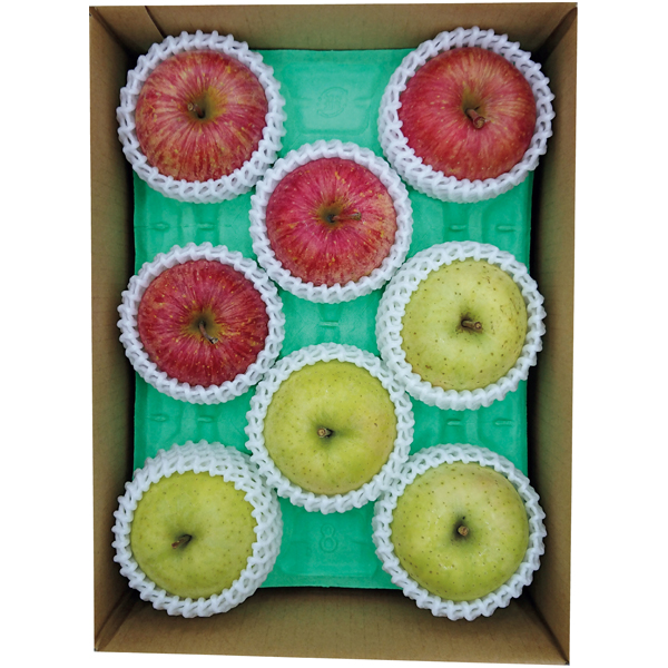 りんご様 ヤマニパッケージ りんごの国から(30入) L-419 | 資材の激安販売なら