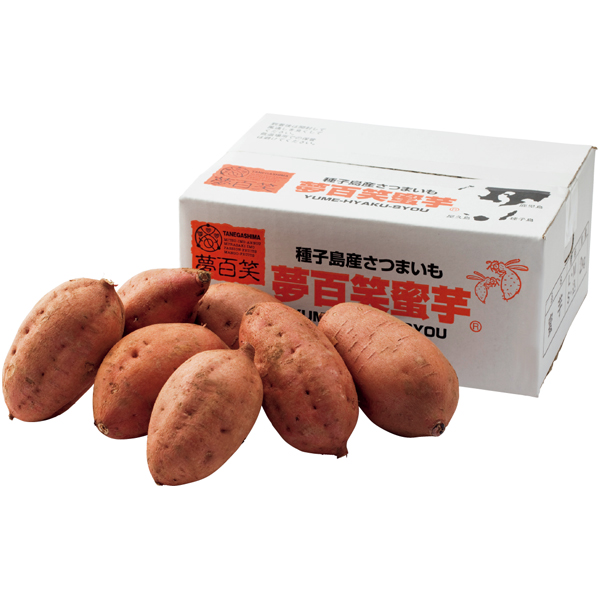 鹿児島県産 種子島 夢百姓安納芋2kg 【163576】【冬☆】 商品サムネイル