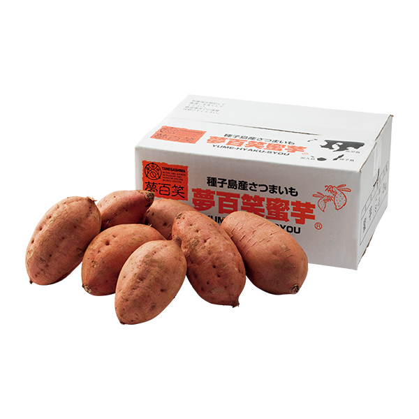 ◇【早得】鹿児島県産 種子島 夢百姓安納芋2kg 【153001】 商品画像(1)