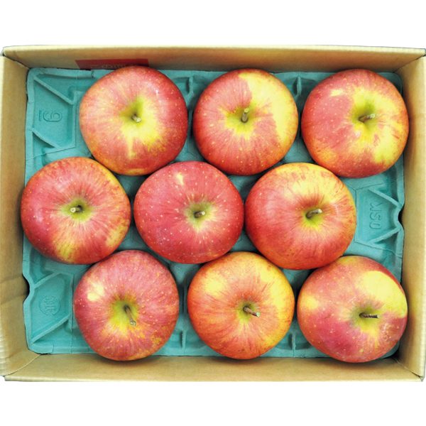 ☆青森県産 葉とらずサンふじりんご 【027113】 商品画像(1)