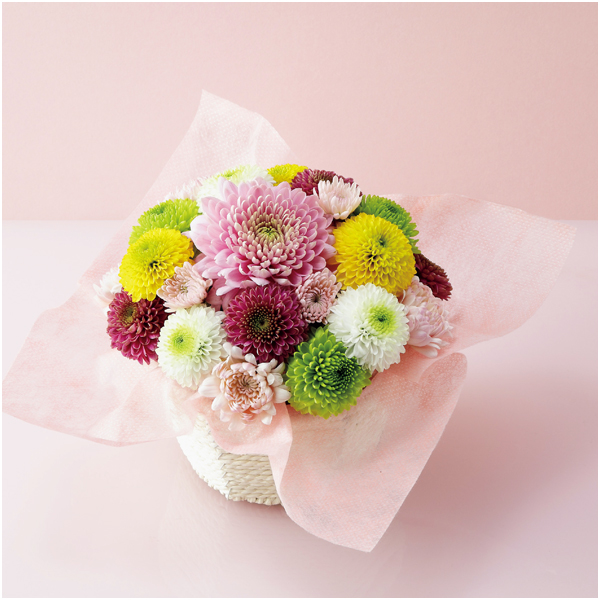 【母の日】茨木春草園 フラワーアレンジ「マカロンケーキ」【484497】 商品サムネイル