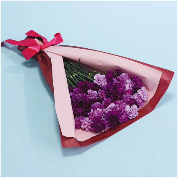 【母の日】茨木春草園 50本のムーンダストブーケ【485663】 商品サムネイル