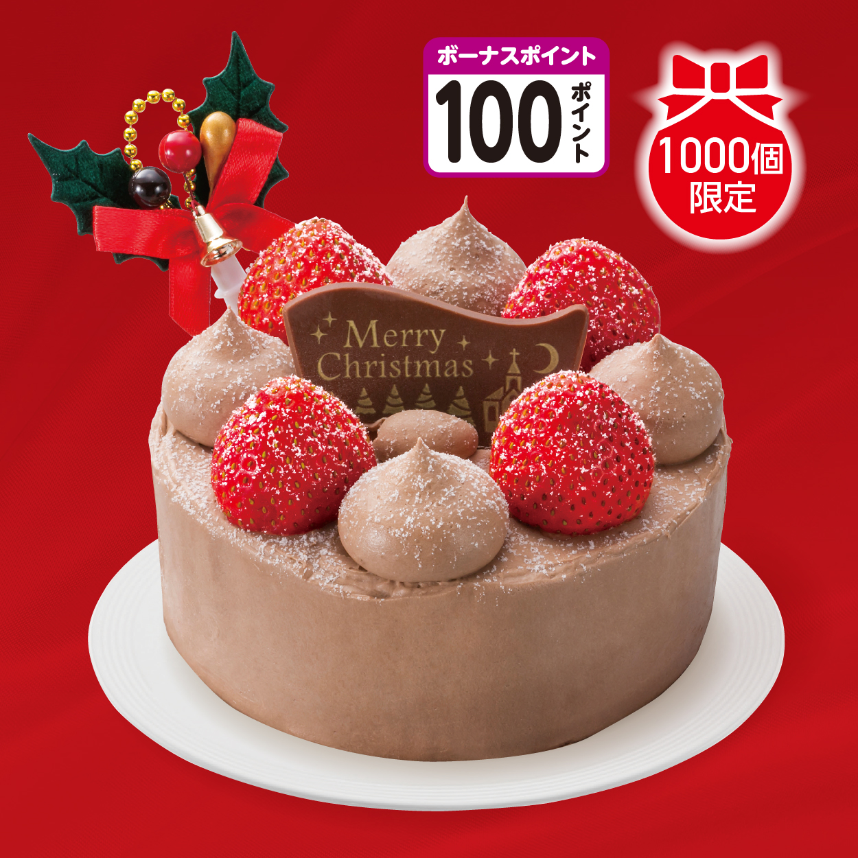 【クリスマス】オイシス　苺のチョコデコレーションケーキ　【A1003】 商品サムネイル