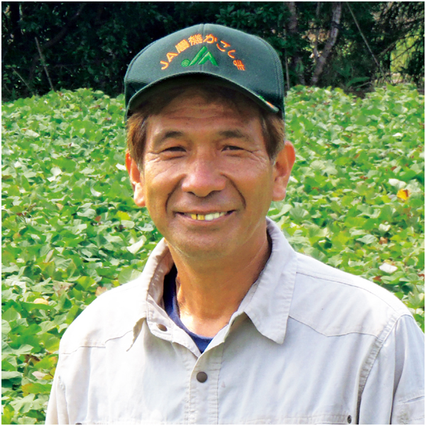 鹿児島県産(JA種子屋久) 安納いも【冬】【076012】 商品画像(2)