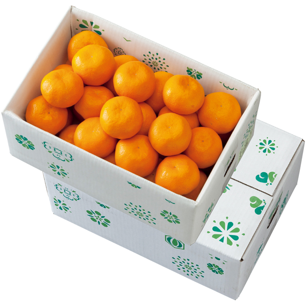 愛媛県産 トップバリュ減の恵み しまなみ育ちのみかん【冬】【021030】 商品サムネイル