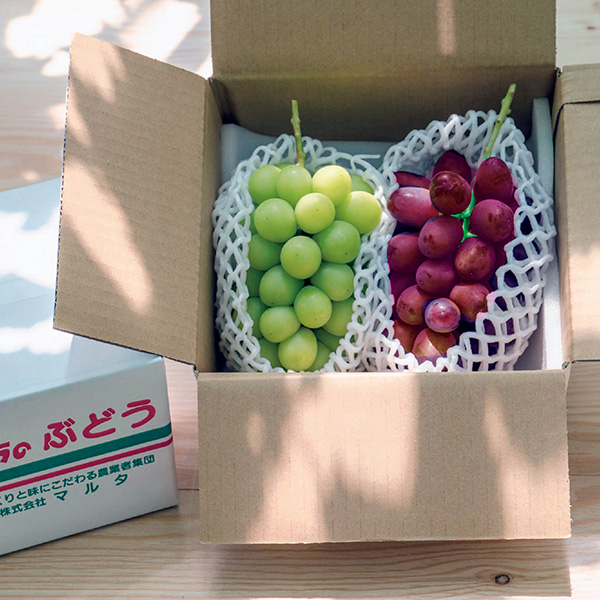 ◇[トップバリュ 減の恵み・長野県産]境さん達のハウスぶどう詰合せ【148887】 商品サムネイル