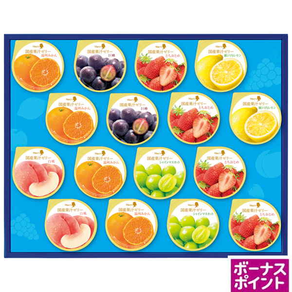 [500ボーナスポイント]メリーチョコレート　国産果汁ゼリー【070106】【夏ギフト】 商品サムネイル