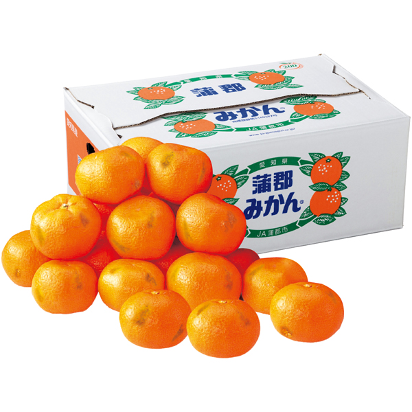愛知県産 おうち用蒲郡みかん 【162638】【冬☆】 商品サムネイル