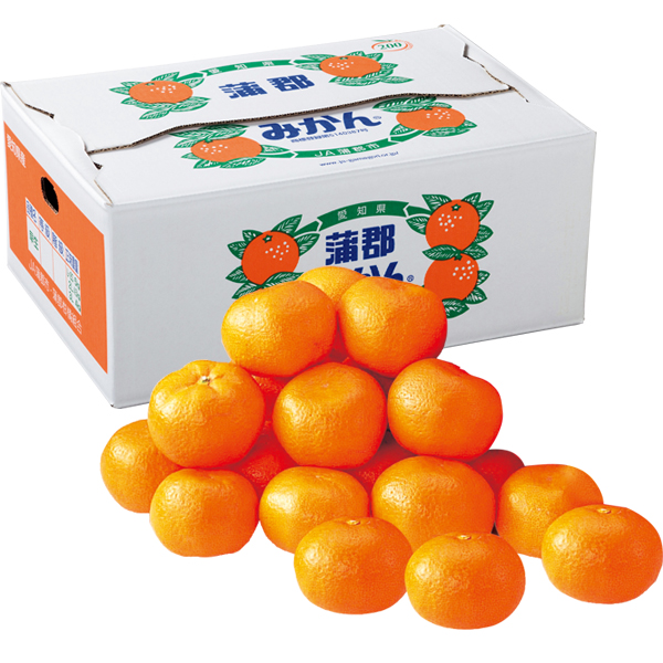 ☆愛知県産 蒲郡みかん 【029111】 商品サムネイル