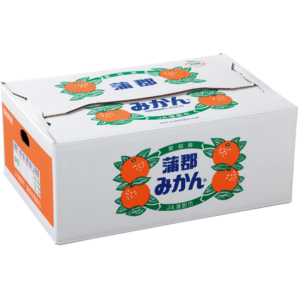 ☆愛知県産 蒲郡みかん 【029111】 商品画像(2)