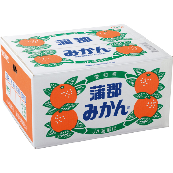 ◇愛知県産 蒲郡みかん10kg 【151702】 商品画像(1)