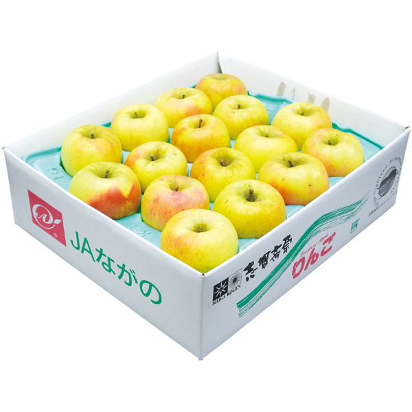 長野県産 おうち用志賀高原のぐんま名月りんご5kg 【162443】【冬☆】 商品サムネイル