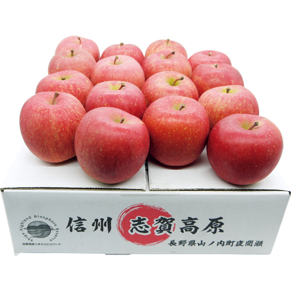 ◇【早得】長野県産 志賀高原 夜間瀬のサンふじりんご 【151553】 商品画像(2)