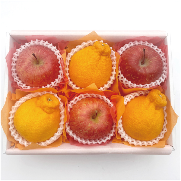 【母の日】青森県産・愛知県産 ふじりんごとデコポンの詰合せ【484248】 商品サムネイル