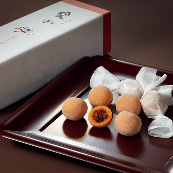 ◇長門屋本店 チョコ羊羹ファンタジア・是山詰合せ 【154091】 商品画像(1)