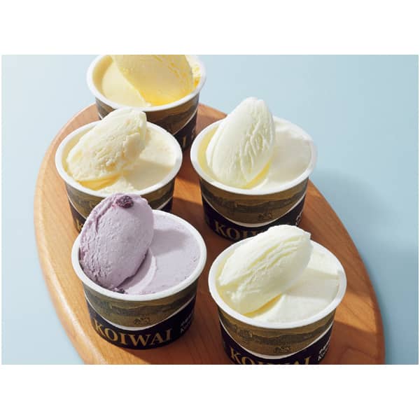 【夏ギフト】小岩井農場  自家製アイスクリーム10個セット 【065034】 商品サムネイル