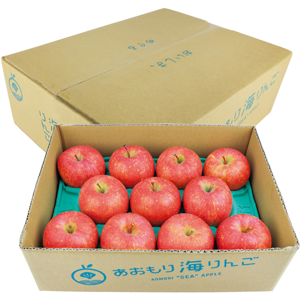 青森県産 贈答用 あおもり海りんご 【162160】【冬☆】 商品サムネイル
