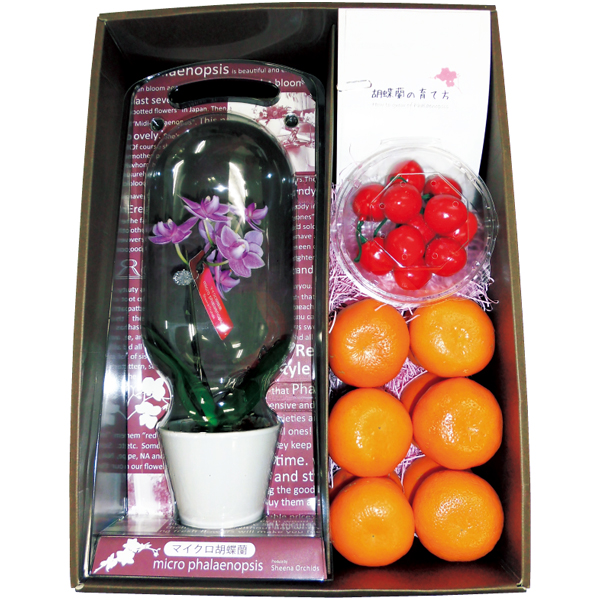 【母の日】 マイクロ胡蝶蘭と愛媛県産カラマンダリンと山形県産さくらんぼセット【483869】 商品サムネイル