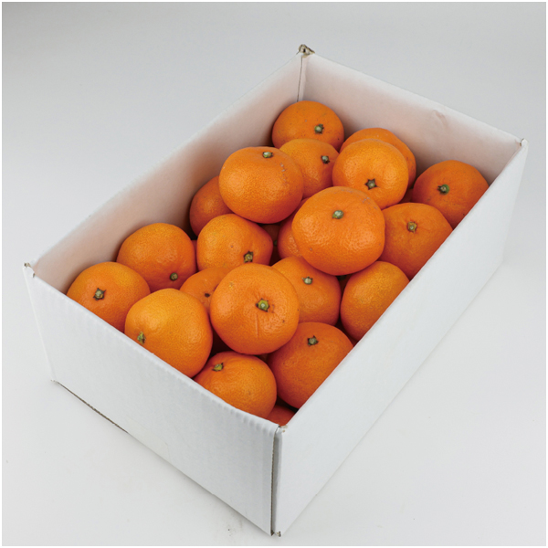 【母の日】愛媛県産 カラマンダリン 3kg【483771】 商品サムネイル