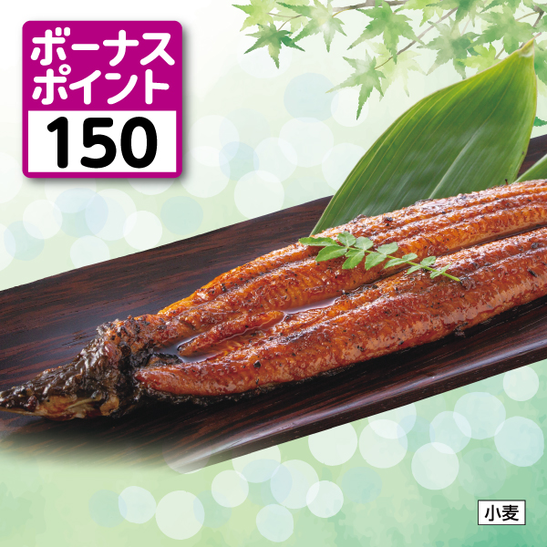 [宮崎県産]うなぎ蒲焼　特大　1尾(約250g)【040001】【ザ・ビッグ土用の丑】 商品サムネイル