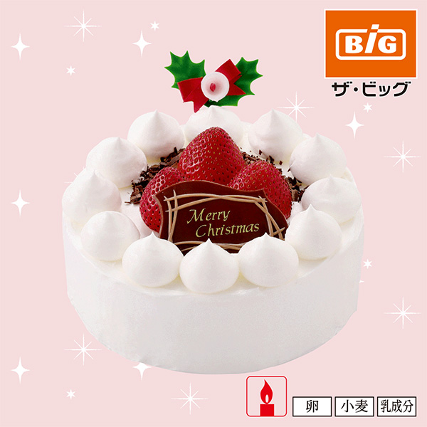 【クリスマス】オイシス クリスマスホワイト 5号【4】 商品サムネイル