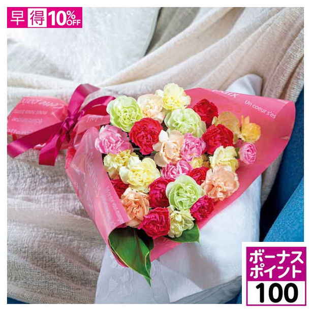 【100ボーナスポイント】【母の日早得】竹中庭園緑化 彩りカーネーションブーケ【480552】 商品サムネイル