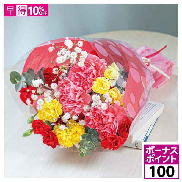【100ボーナスポイント】【母の日早得】ケーアイ・フレッシュアクセス カーネーション「カラフルブーケ」【480613】 商品サムネイル