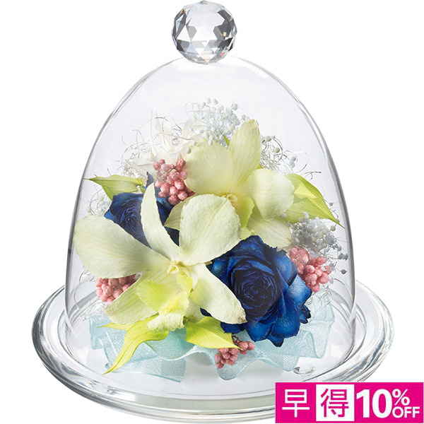 ◇【早得】[Luna]ジュエルフラワー「サマーミュゼ」【150563】 商品サムネイル