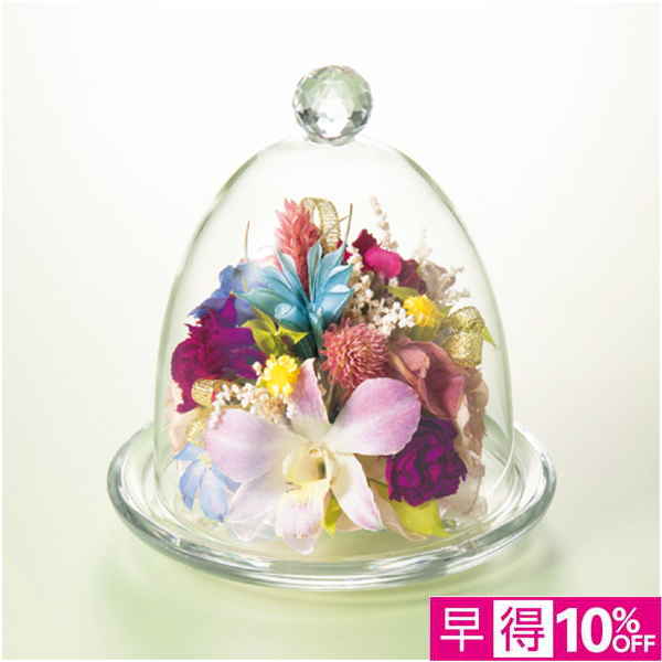 【母の日早得】Luna ジュエルフルール「ミュゼ」【480826】 商品サムネイル