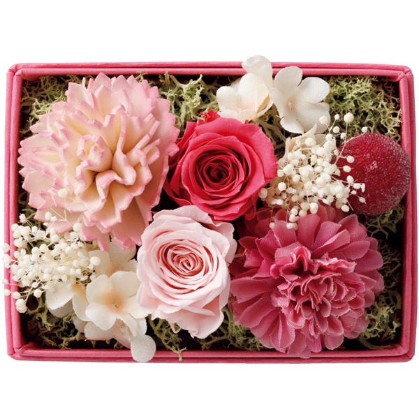 【母の日早得】ホテルオークラ フルーツ&チョコレートケーキとプリザーブドフラワー【480075】 商品画像(2)