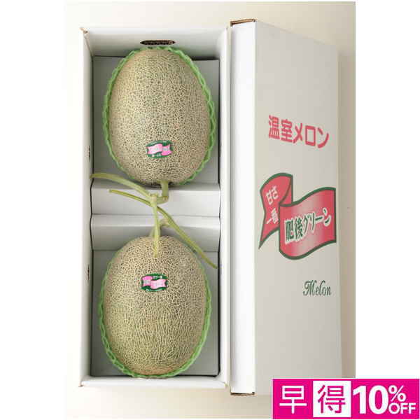 【母の日早得】熊本県産 肥後グリーンメロン【483568】 商品サムネイル