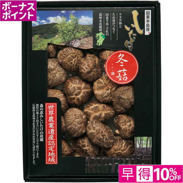 【早得12/10まで】[150WAON BP]大分乾物 大分県国東半島産 どんこ椎茸【冬】【120137】 商品サムネイル