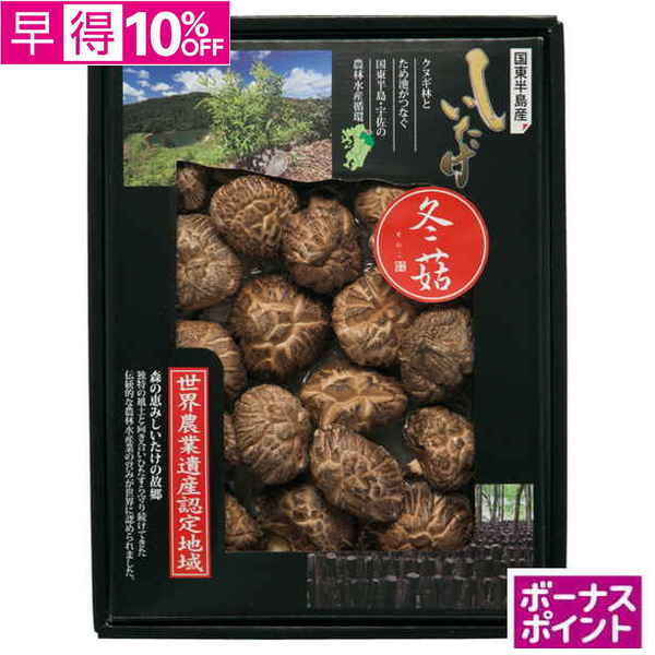 【早得】[100ボーナスポイント]大分乾物　大分県国東半島産 どんこ椎茸【124124】【夏ギフト】 商品サムネイル