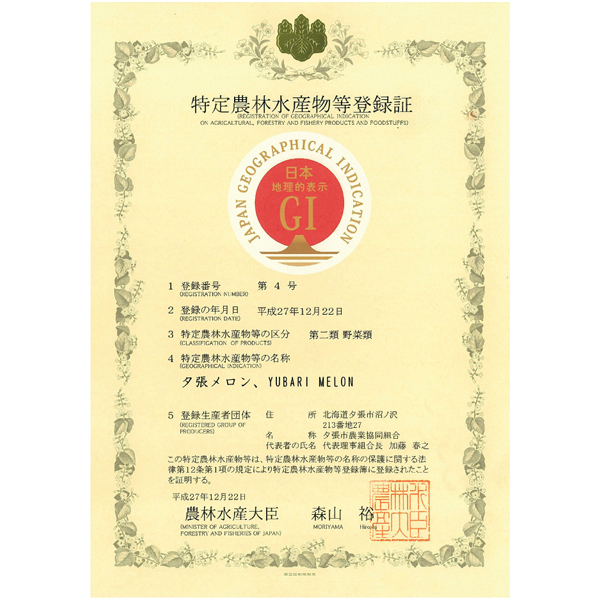 【父の日早得】北海道産(JA夕張市) 夕張メロン 優品2L2玉【486608】 商品画像(2)