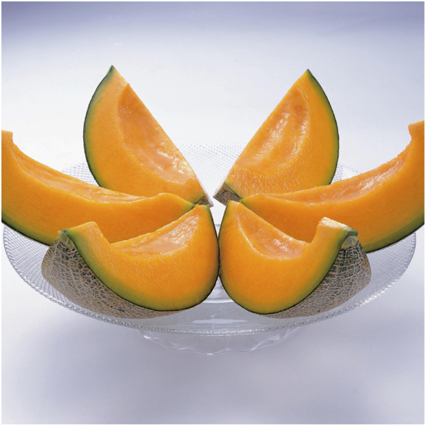 【父の日早得】北海道産(JA夕張市) 夕張メロン 秀品3L1玉【486583】 商品画像(4)